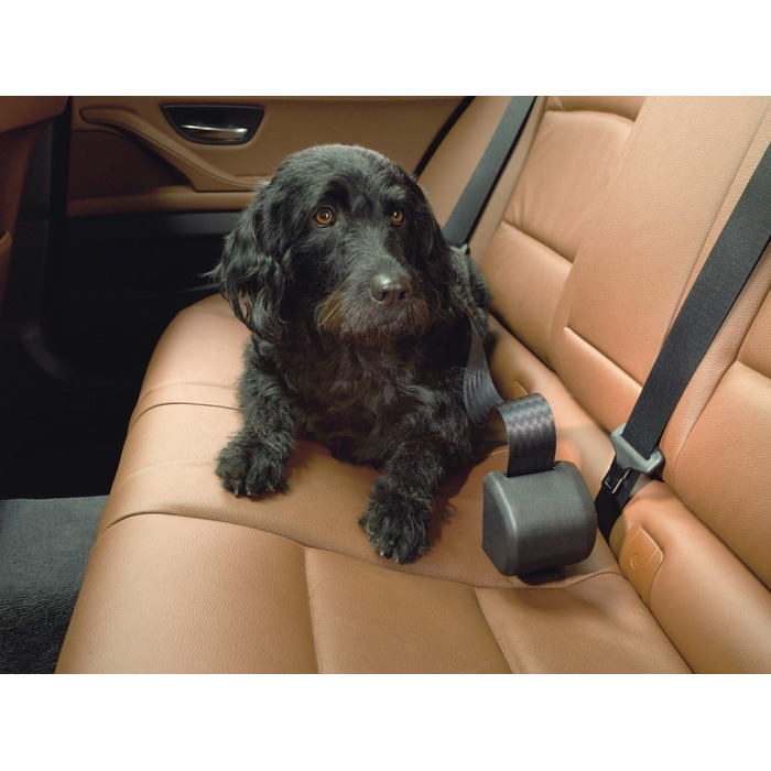 Kleinmetall Click'n Roll Автоматичний поводок для собак Single