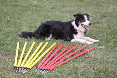 Набір для тренувань Wuzzmann Agility - Слайт-конуси (12 шт), червоно-жовтий