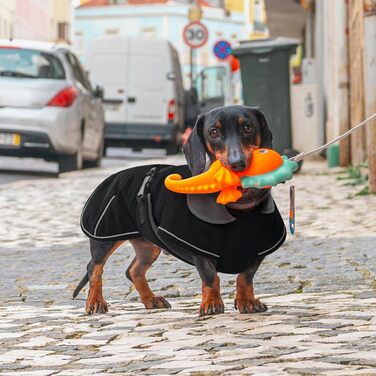 Зимовий теплий накид для такси, чорний L. Водонепроникний, з захистом живота та отвором для повідка. Ідеальний для великих собак.