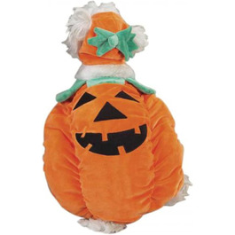 Костюм для собаки Гарбуз Zack & Zoey, помаранчевий (M)