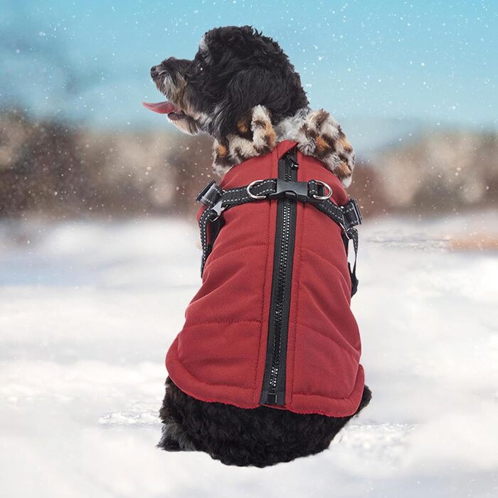 Теплий зимовий одяг для собак: відбиваючий зимовий одяг для цуценят, жилет для собак з вбудованим шлейкою, для маленьких, середніх та великих собак, бургундський колір S