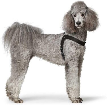 Нашийник для собак HUNTER DIMARO, чорний, м'яка та міцна шкіра, регульований, для цуценят та собак, що бояться, розмір S-M