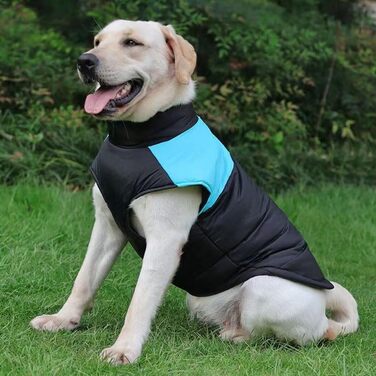 Зимовий теплий жилет для собак з відстібним дзеркалом, водонепроникний, для великих і середніх собак, зручний, теплий, для активного відпочинку, Hunter Weste (розмір: S, M)