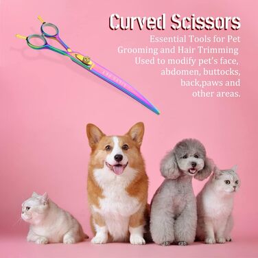 LILYS PET професійні двосторонні вигнуті ножиці для грумінгу тварин, 20,3 см, японська сталь 440C, райдужне покриття, золота гвинтова фіксація