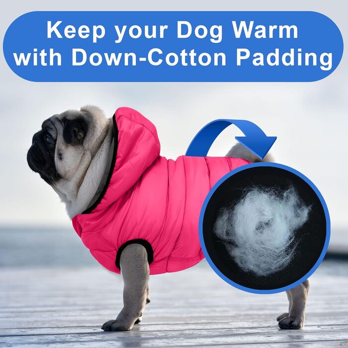 Ветровка для собак Pawtitas: вітронепроникна, водовідштовхувальна, тепла, для цуценят та великих порід, з кишенею, чорно-блакитно-зелена, XX-Large (1 шт.)