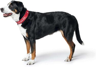 Нашийник для собак Hunter Neopren Reflect FC Bayern München, сірий (червоний, S-M (45))