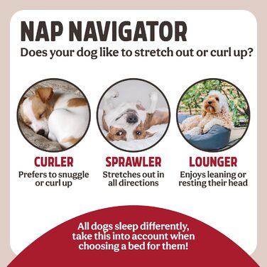 Ліжко для домашніх тварин Rosewood Eco Line з переробленого пластику, блакитне, маленьке (60 см), міцне, пральне ліжко для собак