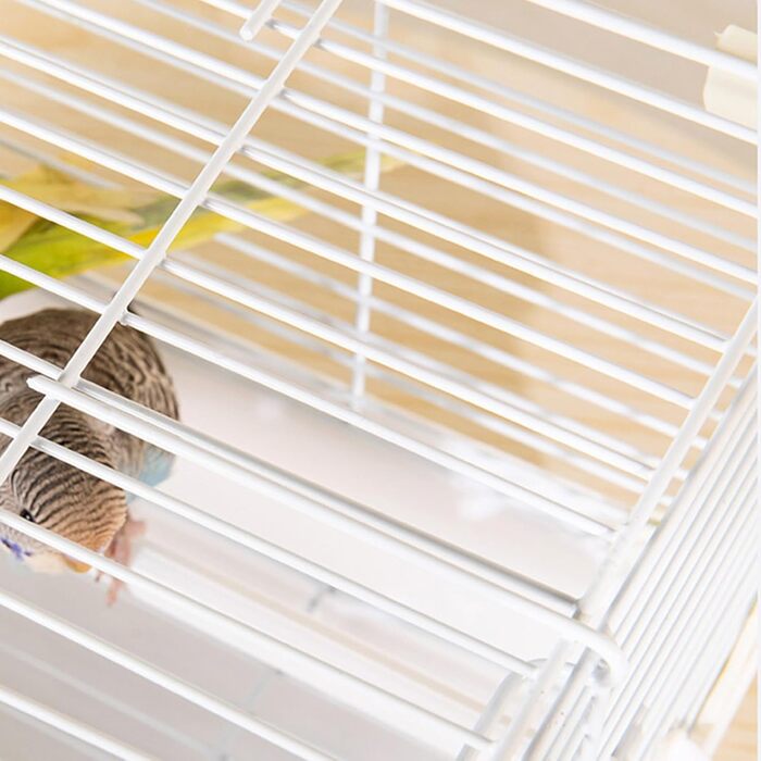 Переносний клітка для птахів Vogelkäfig: зручний транспортний засіб для колібрі, ньомуфенситок, перламутрових птахів