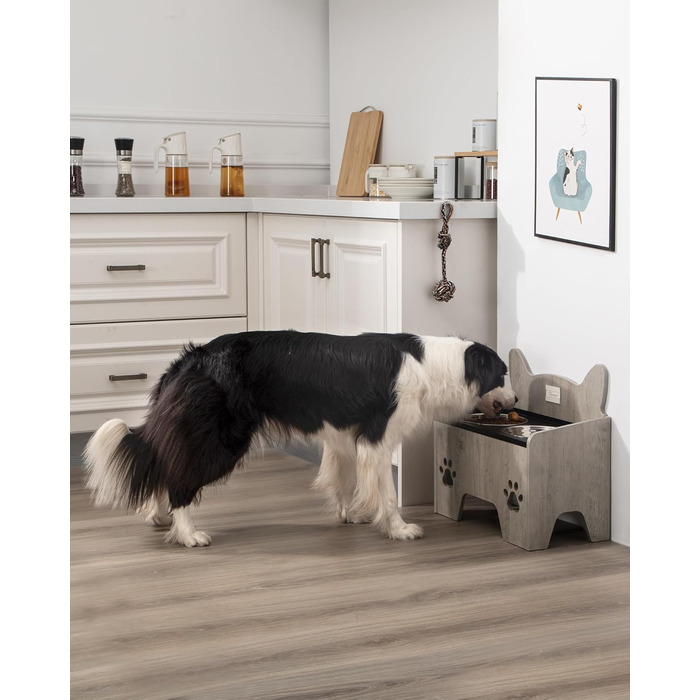 Підвищені годівниці для собак Hzuaneri з нержавіючої сталі, набір з 2 шт., антивитікаючі, для великих та середніх собак, Greige PB07105B