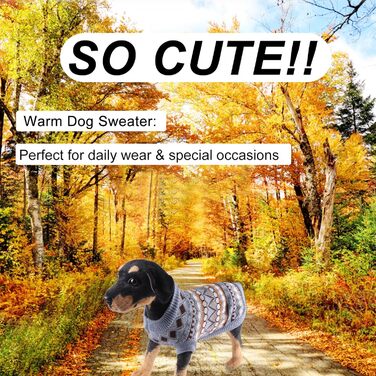 Теплий зимовий пуловер для собак, святковий новорічний пуловер для маленьких та середніх собак, блакитний колір, розмір XL