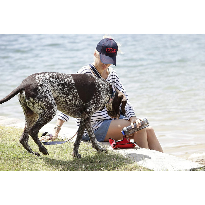 DOOG - Набір для прогулянок з собакою 3-в-1: пляшка для води, ізолятор та миска – блакитний, 8,5 x 3 x 3 см