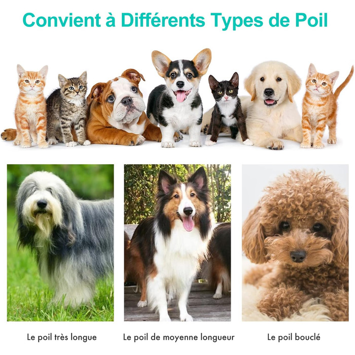 Машинка для стрижки собак Neakasa P1 Pro з пилососом, тиха машинка для собак та котів, професійний набір для грумінгу домашніх тварин, електричний триммер для собак з 5 аксесуарами, білий