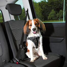 Автомобільна шлейка для собак Trixie Dog Protect, чорна, S-M