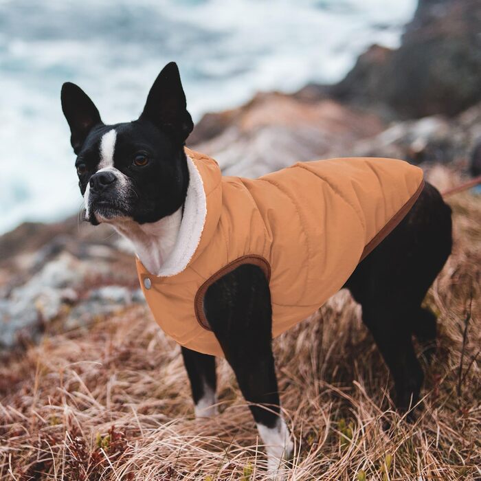 Тепла флісова куртка для собак, вітро- та водовідштовхувальна, з підкладкою з флісу та бавовни, для маленьких, середніх та великих собак, хакі, розмір S