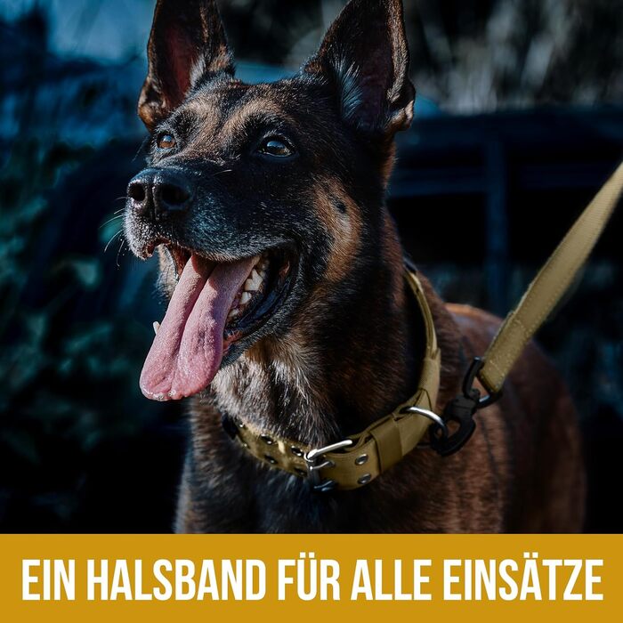 OneTigris Пояс для собак 5см з ручкою та патчем, великий розмір (XL, Коричневий)