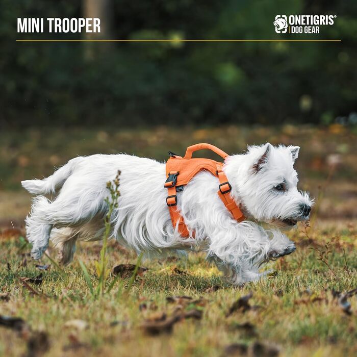 Нашийник для собак OneTigris MINI Trooper, оранжевий, XXXS, з повідком 150 см, 2 положення для буксирування