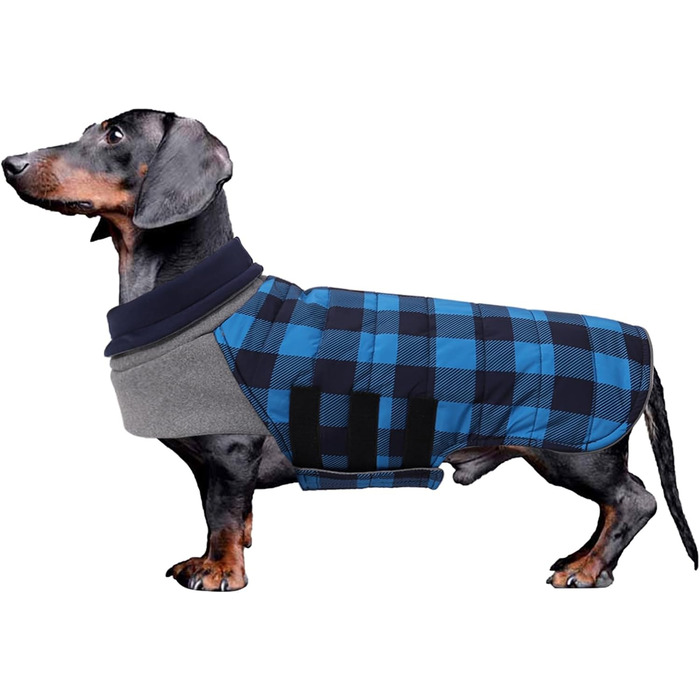 Теплий водонепроникний зимовий одяг для собак (Такса) - блакитний, розмір L, в клітинку