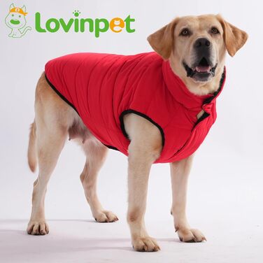 Зимова куртка LovinPet для собак, двостороння, розміри M, L, XL, куртка з ґудзиками, вітронепроникна, снігонепроникна та водонепроникна, темно-зелена та сіра для холодної погоди