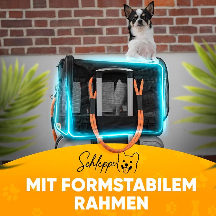 Транспортна сумка для собак Schleppo, 7 кг, дихаюча - для автомобіля та дому - водовідштовхувальна та безпечна - також підходить для транспортування котів - переноска для собак