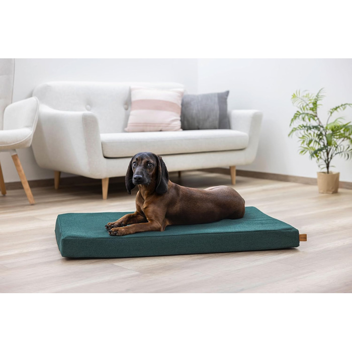 Матрац для собак Kerbl Oliver з піною з пам'яті, для собак з проблемами суглобів, ортопедичний, знімний чохол, Made in Italy, коричневий, 80x50x8 см