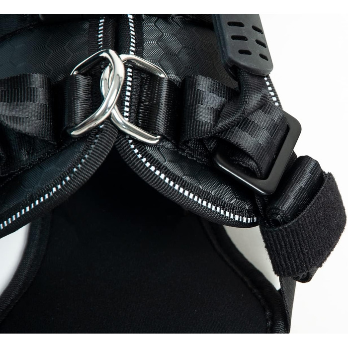 Плед-пояс для собак DogMaster 2.0, чорний, розмір M