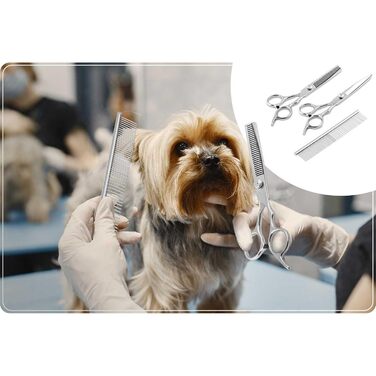 Набір для грумінгу собак Pethaus: безшумна машинка, 4 насадки (3-12 мм), ножиці, гребінець, триммер для нігтів, рожевий