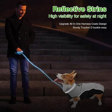 Зимова куртка для собак, водовідштовхувальна, тепла, м'яка, вітрозахисна з кріпленням для повідка, світловідбиваюча, на блискавці, з регульованою застібкою, для маленьких та середніх собак (зелена, сіра, XL)