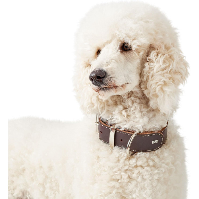 Нашийник для собак Hunter Aalborg Special, шкіряний, міцний, комфортний, розмір M, темно-коричневий, 80 см