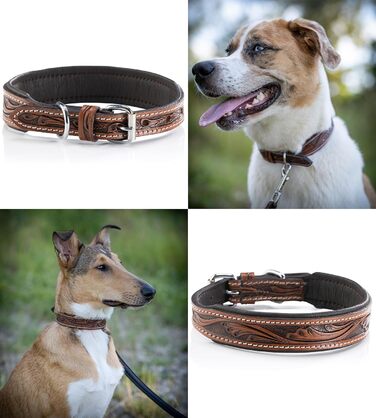 Нашийник для собак Джек Рассел з натуральної шкіри буйвола, ручної роботи, Talia (XL, 46-58 см)