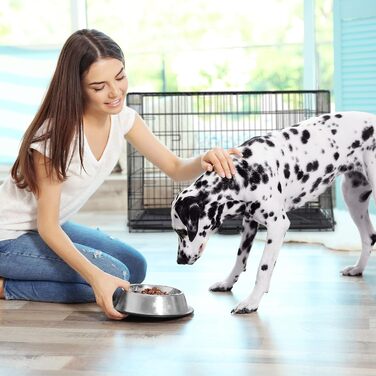 Клітка для собак Relaxdays: для дому та автомобіля, HBT 87x122x80 см, сталева, чорна, з ручкою та двома дверцятами (розміри 62x92x68 см)