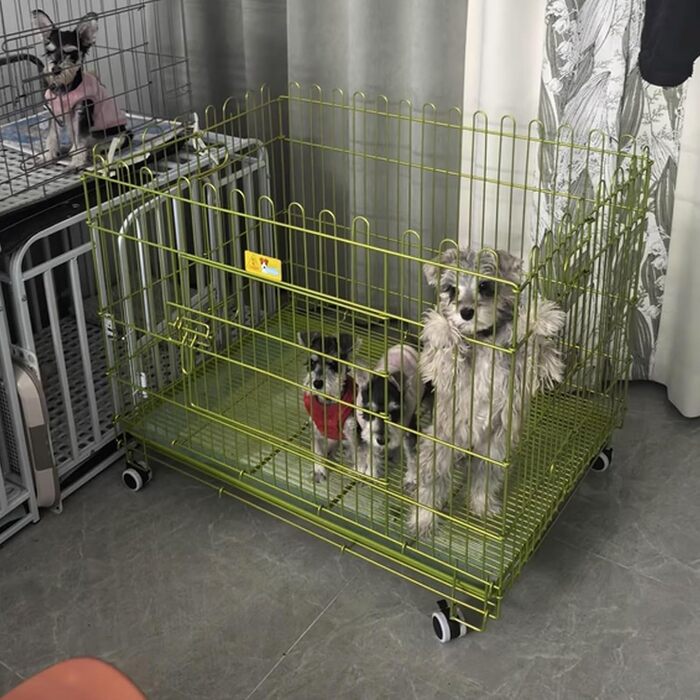 Клітка для собак, переноска для собак, складана з металу, біла. Підходить для маленьких та середніх собак. З піддоном та коліщатками.