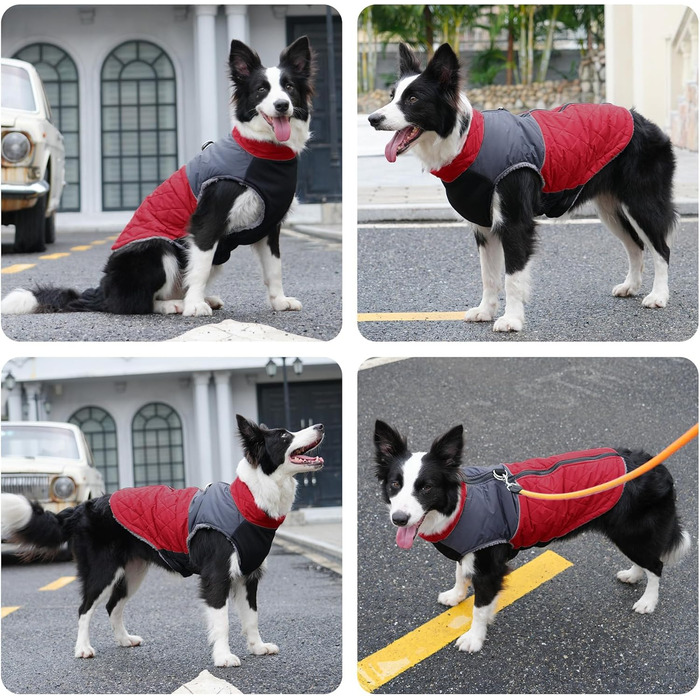 Теплий флісовий одяг для собак JoyDaog, D-кільця, водонепроникна куртка для цуценят на зиму, червоний, розмір S (1 шт.)