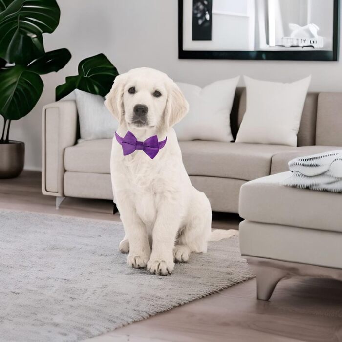 Нашийник для собак з краваткою WDPAWS, м'який велюр, швидка застібка, великі собаки (фіолетовий, L)