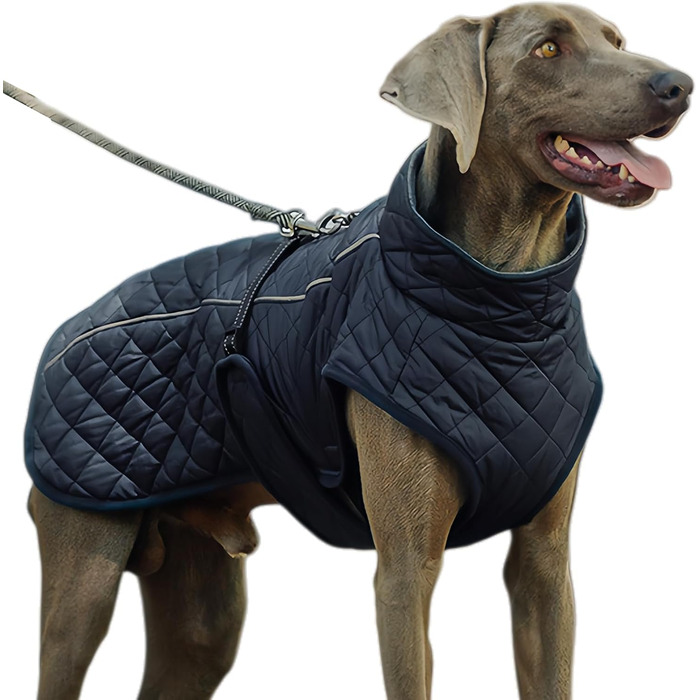 Зимовий теплий одяг для собак: вітронепроникна бавовняна жилетка, утеплена модель для прогулянок, походів, кемпінгу та міста (морська синя)
