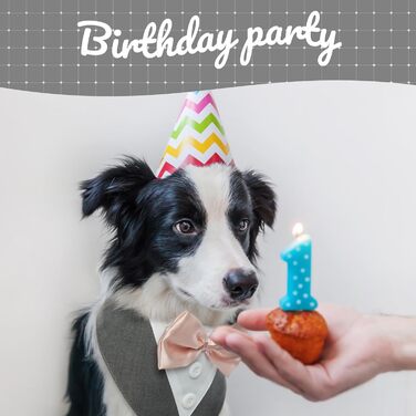 Нашийник для собак Kuoser: святковий бандана, краватка для великих собак, сірий, розмір L