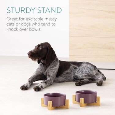 Набір мисок для котів та собак Navaris з бамбуковою підставкою (2 шт.) - миски з кераміки, фіолетовий