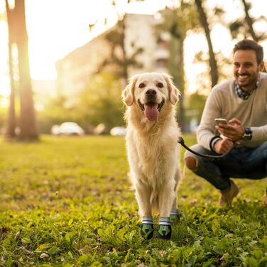 Чоботи для собак, 4 шт., водонепроникні, антиковзаючі, з відбиваючим ремінцем, чоботи для собак, захист лап для маленьких, середніх та великих собак (XL, зелений)
