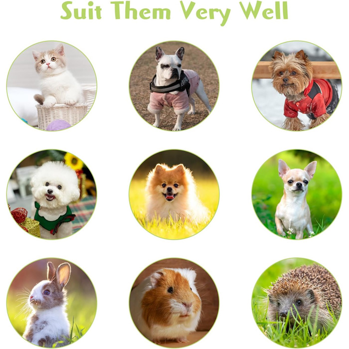 Набори мисок для котів Hamiledyi з підняттям, 4 шт., 15° нахил, нержавіюча сталь, анти-блювотна, не протікає, для кошенят, дорослих котів та кроликів (чорний + білий, 200 мл)