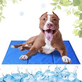 колір: блакитний