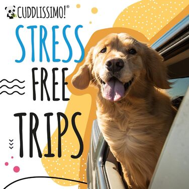 Сумка-переноска для тварин, м'яка, для собак, кошенят та малих порід (до 4,5 кг), блакитний лагуна