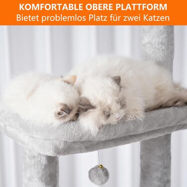 Heybly Котячий дерев'яний комплекс до стелі для великих котів, регульований по висоті (235-265 см), 2 кошики, іграшкові м'ячики, багаторівневий когтеточка, світло-сірий HCT091W