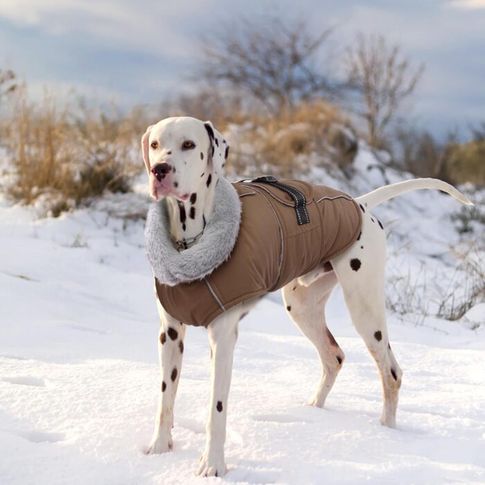 Теплий зимовий одяг для собак Lelepet: водонепроникний пуховик з флісовою підкладкою, з отвором для шлейки, великі розміри (XL, коричневий)