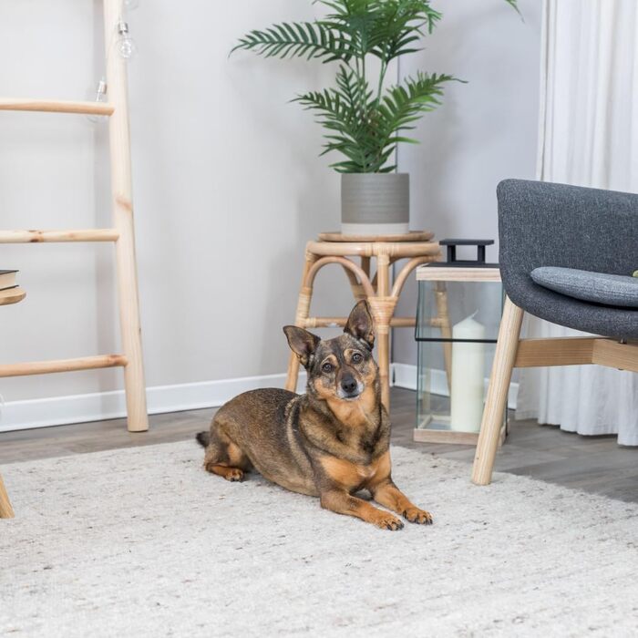 Ліжко для собак TRIXIE Liano, 80x60 см, сіре - м'яке, з наповнювачем з пінопластових кульок, для великих собак, з антиковзким покриттям, миється, 37981