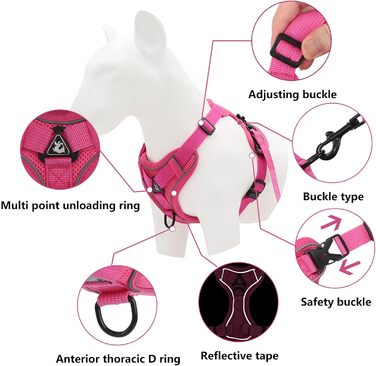 Катячий сміх з повідком, автоматичний котячий поводок з дзвінком, розтяжний котячий поводок з дзвінком та повідком для кошенят, собак (рожевий, M)