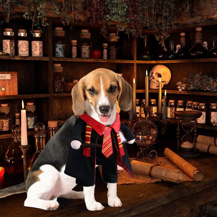 Костюм на Хелловін для собак DELIFUR - Чарівник, для котів, косплей, відпочинок, карнавал, маленькі та середні породи, великий розмір L, мультяшний