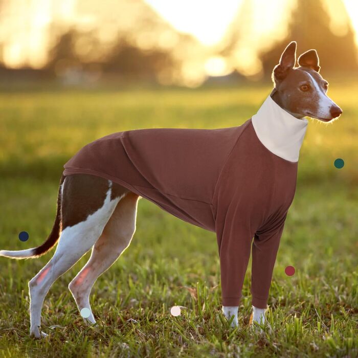 Пуловер для Віндгорн (Грейхаунд) IECOii: теплий, з високим коміром, з флісу, чорний, XS-XXL