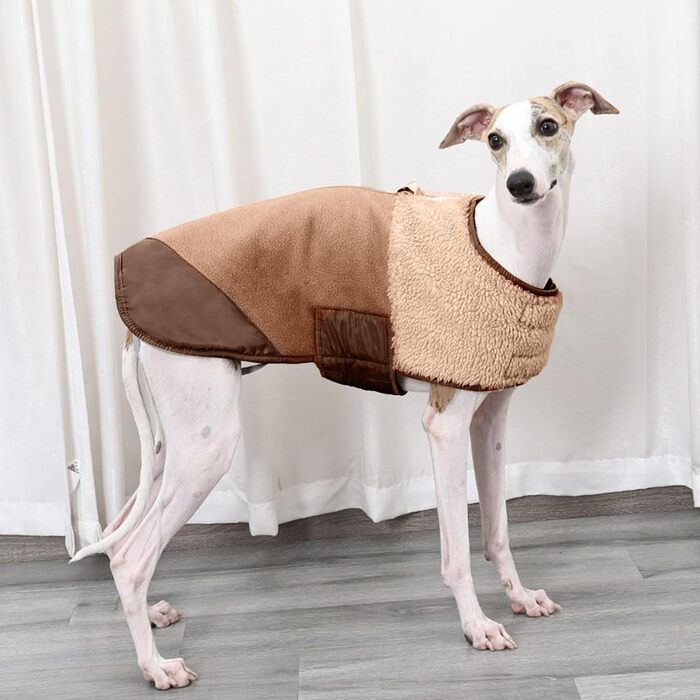 Зимовий одяг для собак: теплий, машинно-прасуваний, для цуценят та дорослих собак, для дому та вулиці (M)