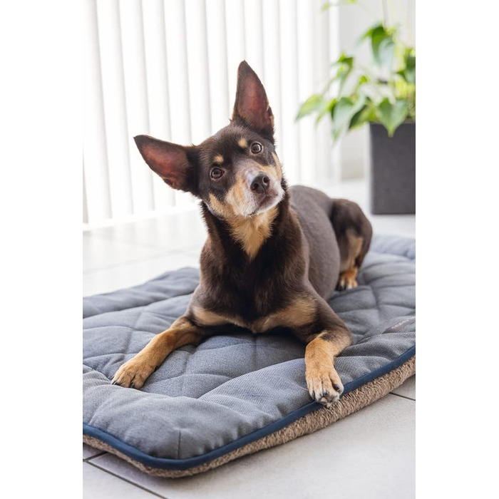 Подушка-сліпер DGS Nano Chenille Lex сірого кольору (78x55x3,5 см)