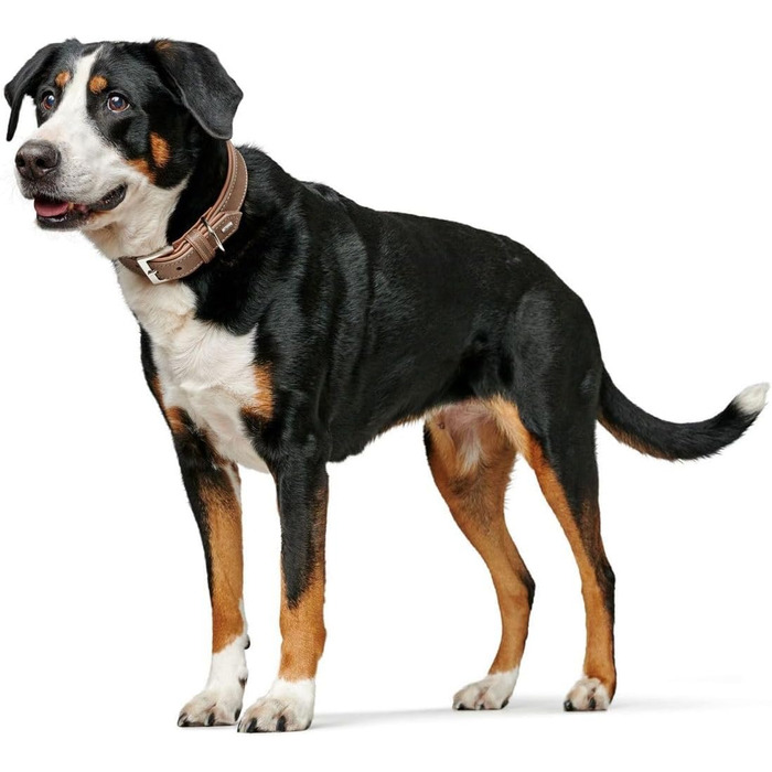 Нашийник для собак HUNTER PORTO, шкіряний, tabak/cognac, ручної роботи, розмір 40