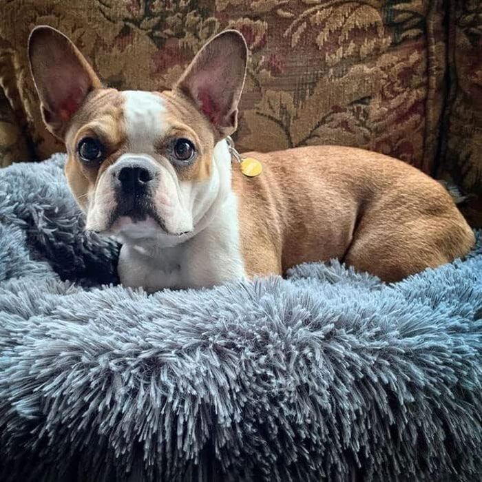 М'яке ліжко-подушка у вигляді пончика для собак та котів, заспокоює, зменшує тривожність. Розмір S (40 см), темно-сірий колір. З антиковзким дном, можна прати.